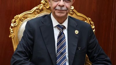 .رئيس جامعة المنوفية يكلف الدكتورة عزة حسن بالإشراف على مركز الخدمة العامة