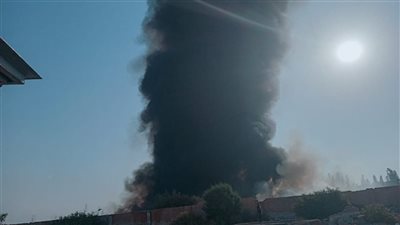 جهود مكثفة للسيطرة على حريق نشب بحضانة سيارات في الإسكندرية 