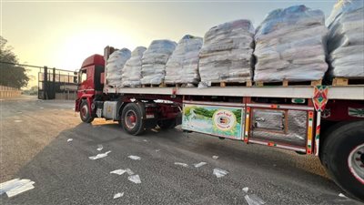 الهلال الأحمر المصري يدفع بأكثر من 58 ألف سلة غذائية إلى غزة