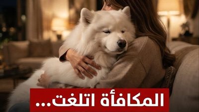 الـ2 مليون جنيه راحت فين؟.. مفاجأة بعد عودة الكلبة 