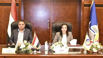 محافظ البحيرة تستعرض الموقف التنفيذي للمنطقتين الصناعيتين بحوش عيسى ووادي النطرون