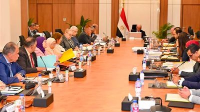 نائب رئيس الوزراء يترأس عمومية 