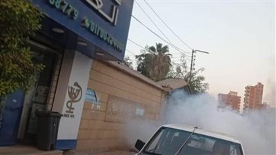 رش مستمر في شوارع الشرقية لمواجهة الناموس والحشرات الطائرة