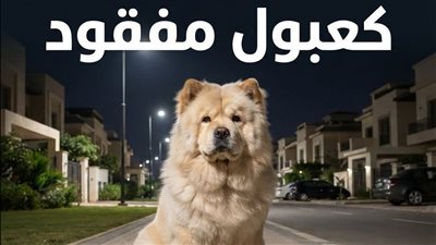 الكلب 