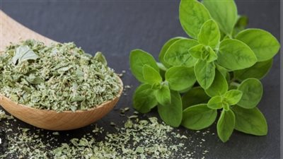 فوائد تناول البردقوش لصحة الجسم ودوره ضمن النظام الغذائي