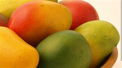 طرق تخزين المانجا بشكل صحي.. خطوات تحافظ على الطعم والقيمة الغذائية لأطول فترة