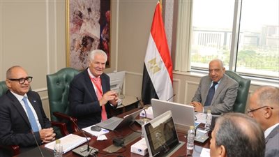 وزير الكهرباء يتابع مستجدات مشروع «رينيرجي جروب بارتنرز» للطاقة النظيفة