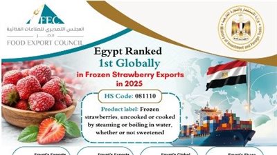 بـ 690 مليون دولار.. مصر الأول عالميًا في صادرات الفراولة المجمدة عام 2025