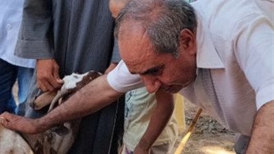 محافظ أسيوط: علاج 24 ألفًا و952 حالة  من خلال  القوافل البيطرية المجانية   