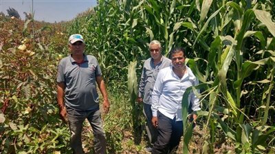 الزراعة بالشرقية تتابع الحصر الحيازي استعدادًا لتطبيق البطاقة الإلكترونية المطورة