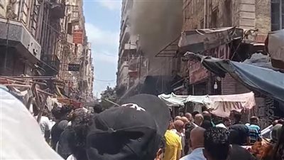الحماية المدنية تكثف جهودها للسيطرة على حريق بأحد مباني مديرية التربية والتعليم بالإسكندرية 