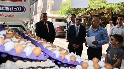 محافظ المنوفية يدشن أولى فعاليات مبادرة 