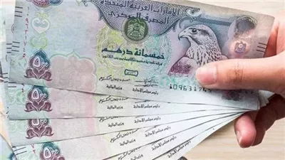 عاجل.. سعر الدرهم الإماراتي مقابل الجنيه المصري اليوم الخميس 