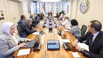 وزيرة التنمية المحلية تبحث مع نائب الممثل المقيم لبرنامج الأمم المتحدة الإنمائي آليات إنشاء الصندوق المصري
