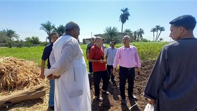 محافظ أسيوط: التوسع في الأعلاف الخضراء الحديثة لدعم صغار المربين وتنمية الثروة الحيوانية