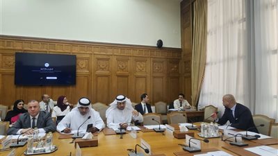 الجامعة العربية تبحث تنظيم انتخابات لجنة حقوق الإنسان وتعزيز التداول بين الدول الأطراف