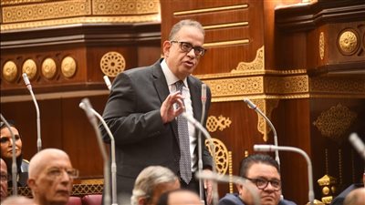 النائب طارق عبد العزيز يطالب بميثاق شرف اجتماعي لمواجهة الظواهر السلبية في المجتمع