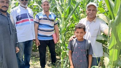 زراعة الإسماعيلية تتابع زراعات القطن والذرة وعباد الشمس في القنطرة شرق 