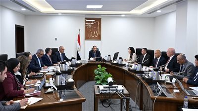مدبولي يتابع تنفيذ مشروعات مياه الشرب والصرف الصحي بأسوان