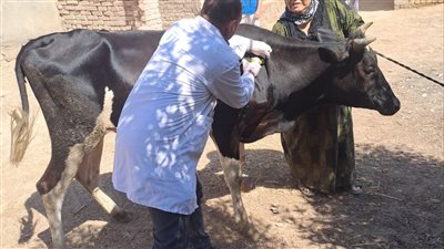 جامعة الفيوم: قافلة بيطرية بعزبة الشافعي بمركز طامية