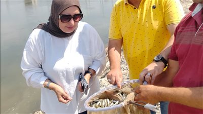 6 ملايين زريعة لتعزيز الثروة السمكية بالشرقية