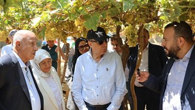 محافظ المنيا يتفقد حصاد محصول العنب بغرب أبوقرقاص