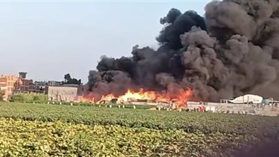 اندلاع حريق في مصنع موالح بالشرقية.. وارتفاع عدد المصابين إلى 14 شخصًا