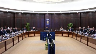 مجلس الوزراء يوافق على منح «نيفير منيا» الرخصة الذهبية لمشروع طاقة شمسية 