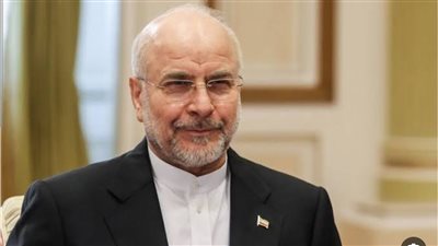 رئيس البرلمان الإيراني: لا نتدخل في الشأن العراقي 