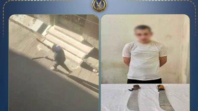  ضبط عامل لوّح بأسلحة بيضاء في مشاجرة مع نجل عمه بالبحيرة