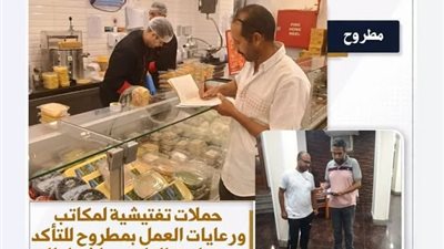 وزارة العمل تنظم حملات تفتيشية على المحافظات لضبط سوق العمل.. تفاصيل