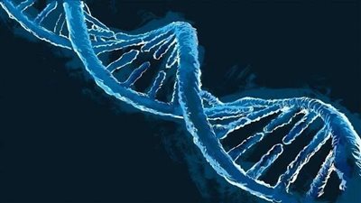 عيوب ومخاطر استخدام المعلومات الجينية في التأمين
