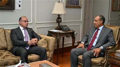وزير الاستثمار: حماية مصالح مصر التجارية والاستثمارية يدعم زيادة الصادرات 