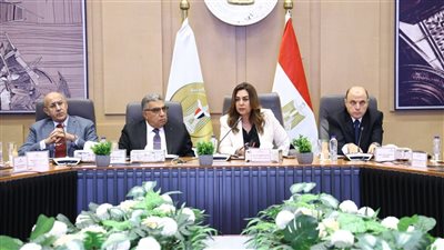 وزيرة التنمية تتابع مع محافظي الدقهلية والغربية مشروع تطهير مصرف كيتشنر