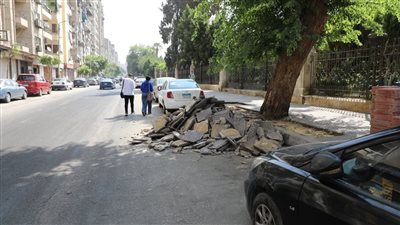 زيادة المساحات الخضراء.. أبرز ملامح تطوير شارع السرايات بالوايلي 