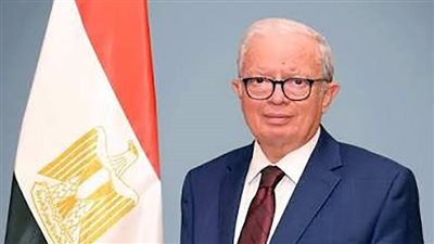 نائب رئيس الوزراء يعود للقاهرة بعد مشاركته في قمة 