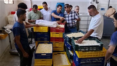 ضبط 765 كيلو جبنة موتزاريلا بمصنع دون ترخيص بالفيوم 