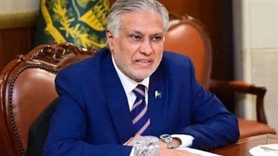 وزير خارجية باكستان يبحث مع أمين عام المنظمة البحرية الدولية قضية البحارة المحتجزين
