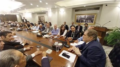رئيس الوفد: لن نعتمد أي لجنة تخلو من التمثيل المسيحي إحياءً لتراثنا وتجسيدًا لشعارنا «الهلال مع الصليب»