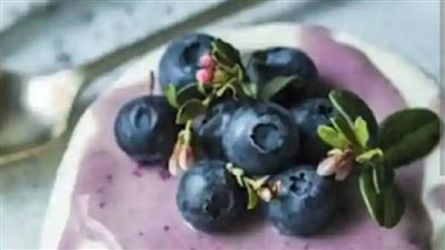 طرق تحضير زبادي التوت المحلي بالكريز