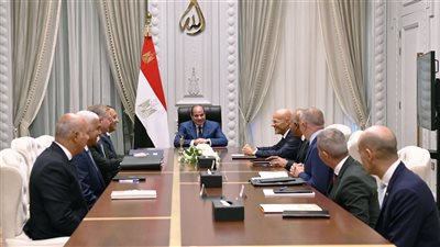 السيسي يؤكد اِستمرار مصر في تقديم التيسيرات لشركة 