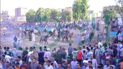 من ملتقى الخيالة لمأدبة الملوخية باللحم.. حكايات وطقوس متوارثة في احتفالات المولد النبوي بالأقصر
