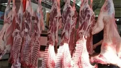 txt