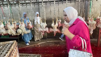 ضبط 2 طن دواجن وهياكل غير صالحة وبانيه مجهول المصدر بالشرقية