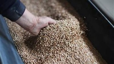ارتفاع أسعار القمح عالميًا مع اضطراب موانئ البحر الأسود وتراجع صادرات الحبوب