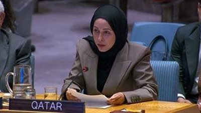 المجموعة العربية: السلام العادل والدائم بالمنطقة مرهون بإنهاء الاحتلال الإسرائيلي