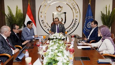 إطلاق برنامج «جسور النيل» لاستقدام الخبراء المصريين والأجانب من الخارج