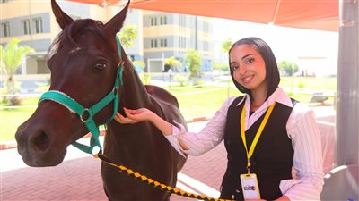 الجامعة المصرية الصينية تطلق المؤتمر الرابع لطب الخيول 