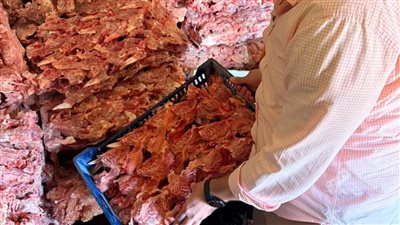 ضبط 18 طن أغذية فاسدة بالغربية
