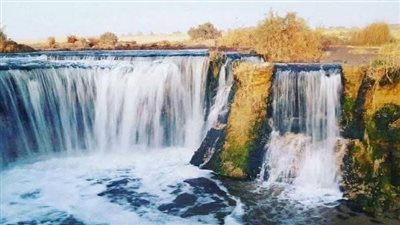 شديد الحرارة رطب نهارا والعظمى 38 درجة بالفيوم 